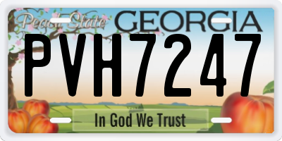 GA license plate PVH7247