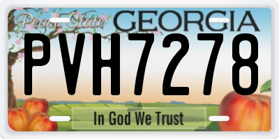 GA license plate PVH7278
