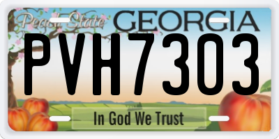 GA license plate PVH7303