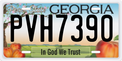 GA license plate PVH7390