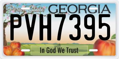 GA license plate PVH7395