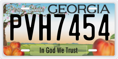 GA license plate PVH7454