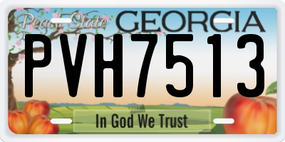 GA license plate PVH7513