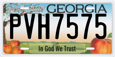 GA license plate PVH7575