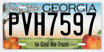 GA license plate PVH7597