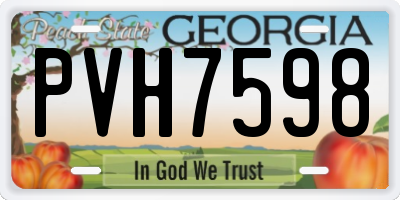 GA license plate PVH7598