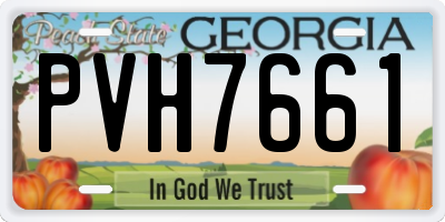 GA license plate PVH7661