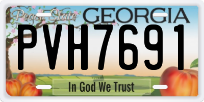 GA license plate PVH7691