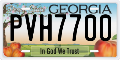 GA license plate PVH7700