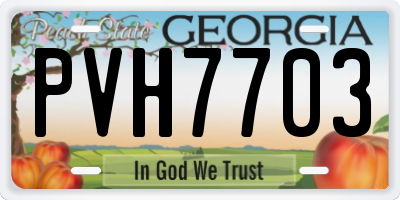 GA license plate PVH7703