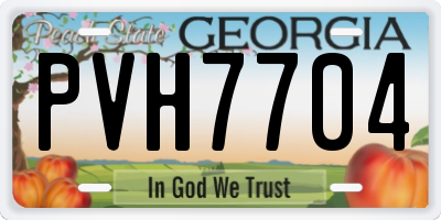 GA license plate PVH7704