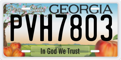 GA license plate PVH7803