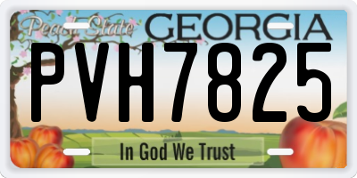 GA license plate PVH7825