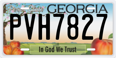GA license plate PVH7827