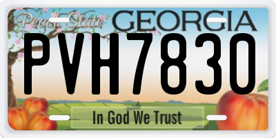 GA license plate PVH7830