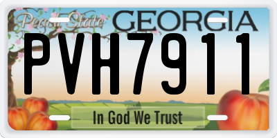 GA license plate PVH7911