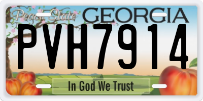 GA license plate PVH7914