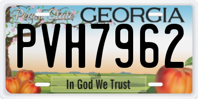 GA license plate PVH7962