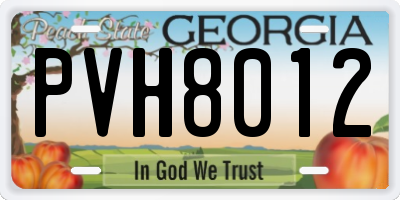 GA license plate PVH8012
