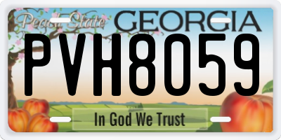 GA license plate PVH8059