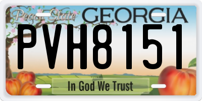 GA license plate PVH8151