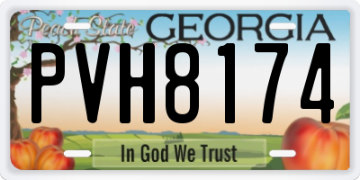 GA license plate PVH8174