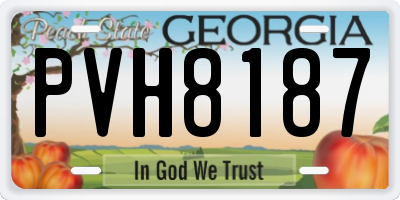 GA license plate PVH8187
