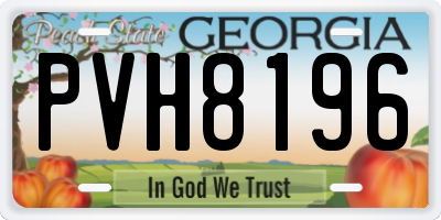 GA license plate PVH8196
