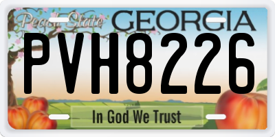 GA license plate PVH8226
