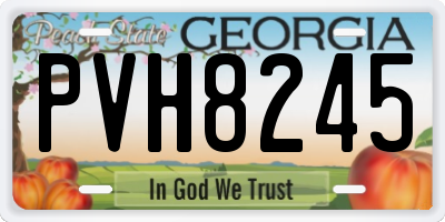 GA license plate PVH8245