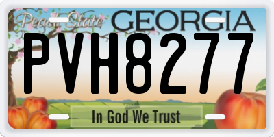 GA license plate PVH8277