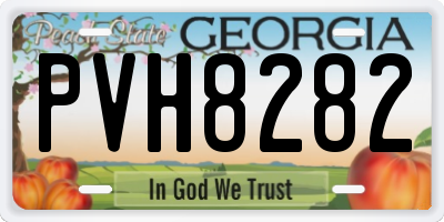GA license plate PVH8282