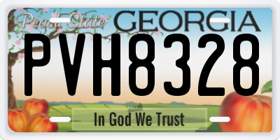 GA license plate PVH8328