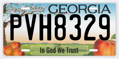 GA license plate PVH8329