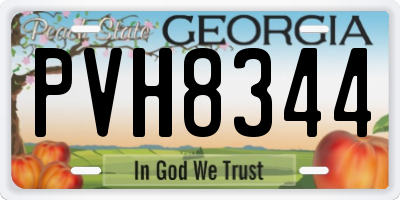 GA license plate PVH8344