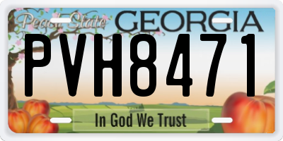 GA license plate PVH8471