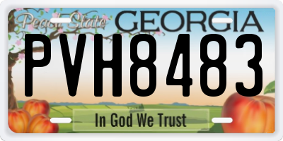 GA license plate PVH8483