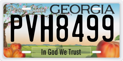 GA license plate PVH8499