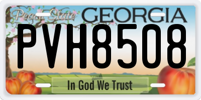 GA license plate PVH8508