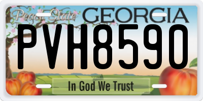 GA license plate PVH8590
