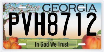 GA license plate PVH8712