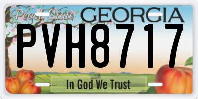 GA license plate PVH8717