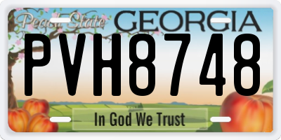 GA license plate PVH8748