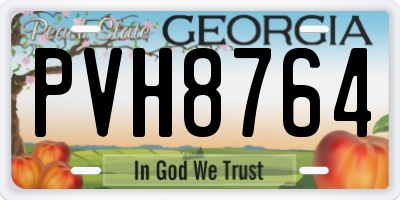 GA license plate PVH8764