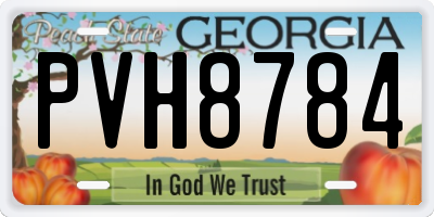 GA license plate PVH8784