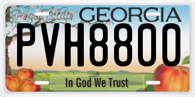 GA license plate PVH8800