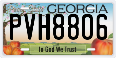 GA license plate PVH8806