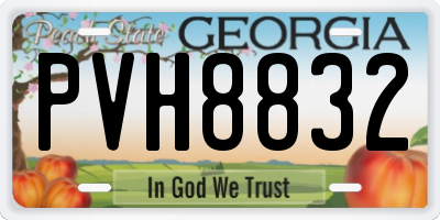 GA license plate PVH8832