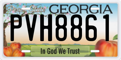GA license plate PVH8861