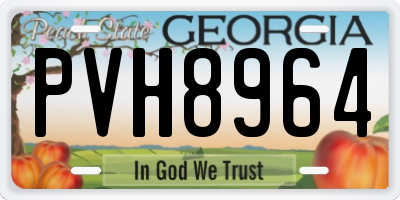 GA license plate PVH8964